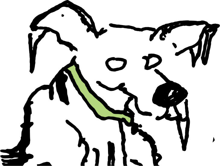frozen dog